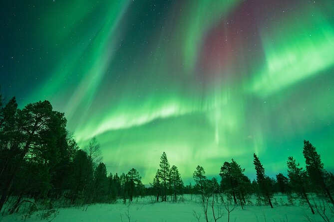Northern Lights Hunt with The Green Adventure - photos included - What the aurora actually looks like
