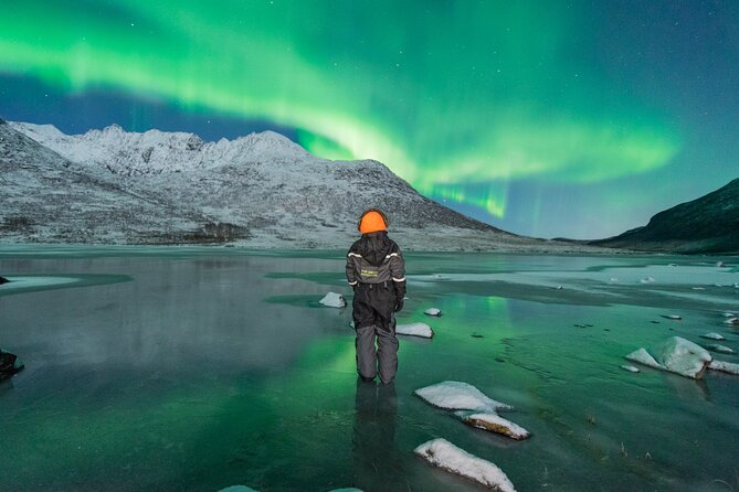 Northern Lights Hunt with The Green Adventure - photos included - Booking details worth handling early