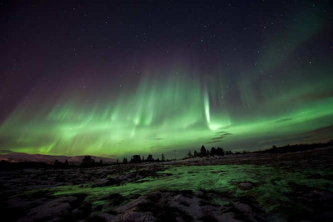 Northern Lights Husky Visit - A husky camp rather than a Northern Lights chase