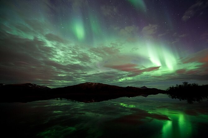 Northern Lights Husky Visit - What the four-hour schedule feels like