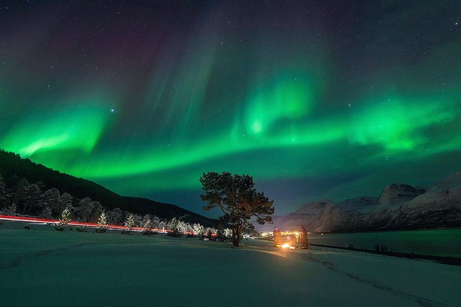 Northern Lights Minibus Chase from Tromsø with Chasing Lights - Campfire food, hot drinks, and staying warm