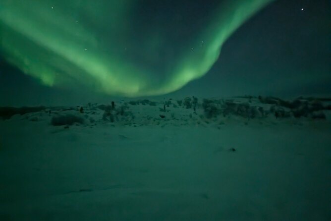 Northern Lights Minibus Chase Max 16 Person In Group - Why a Moving Minibus Helps