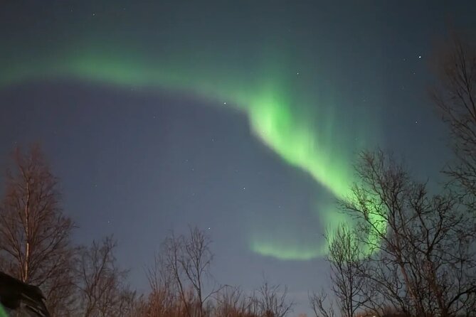 Northern Lights Minibus Chase Max 16 Person In Group - Is $215.75 a Fair Price?