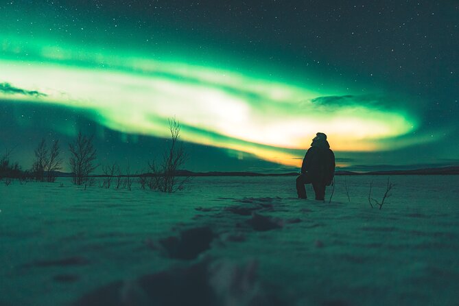 Northern Lights Photo Expedition Dinner Included from Abisko - Photography help for serious cameras and simple phones