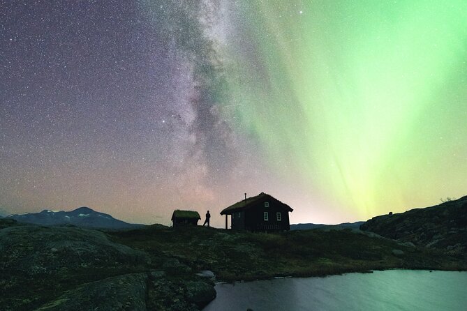 Northern Lights Photo Expedition Dinner Included from Abisko - How the price compares with the experience