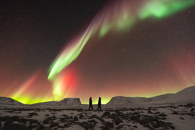 Northern Lights Photo Expedition Dinner Included from Abisko - Who should book this six-hour expedition