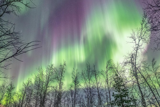 Northern Lights Private tour with your special ones - Greenlander - What happens when the aurora appears