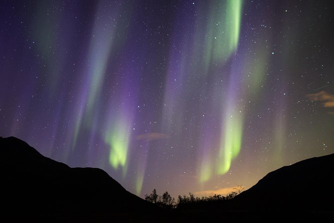 Northern Lights Safari from Tromso - Photo help, tripod use, and the souvenir you take home