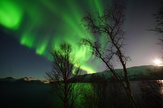 Northern lights - TeslaX Ecofriendly Car - What $192.75 buys you