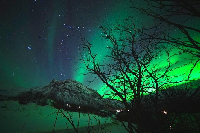 Northern lights - TeslaX Ecofriendly Car - Who will enjoy this Tromsø aurora tour