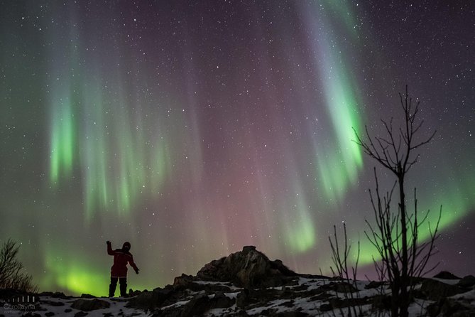 Northern Lights tour - All inclusive - Northern Horizon - Chasing clear skies from Tromsø