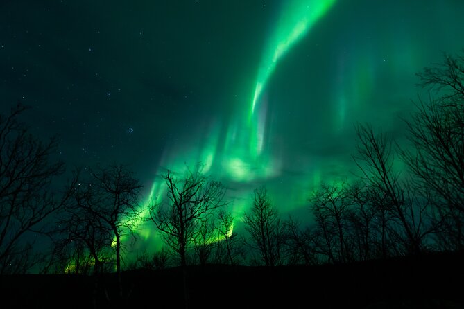 Northern Lights Tour from Kiruna to Abisko with Dinner - Key points to know before you book