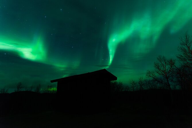 Northern Lights Tour from Kiruna to Abisko with Dinner - Campfire, cookies, and the cold