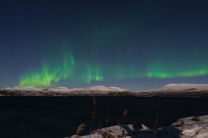 Northern Lights Tour from Kiruna to Abisko with Dinner - What the $278.79 price really buys