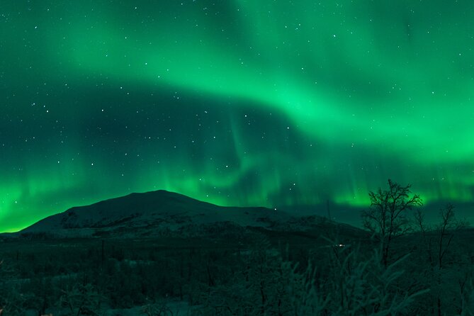 Northern Lights Tour from Kiruna to Abisko with Dinner - Group size, timing, and pickup limits