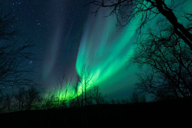 Northern Lights Tour from Kiruna to Abisko with Dinner - Chasing the aurora in Abisko National Park