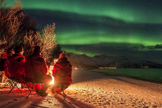 Northern Lights Tour from Tromsø - Price, group comfort, and the long van ride