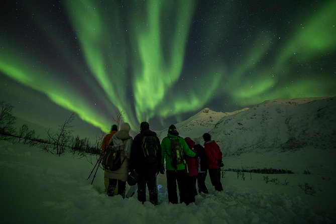 Northern Lights Tour from Tromsø - The best and worst weather scenarios