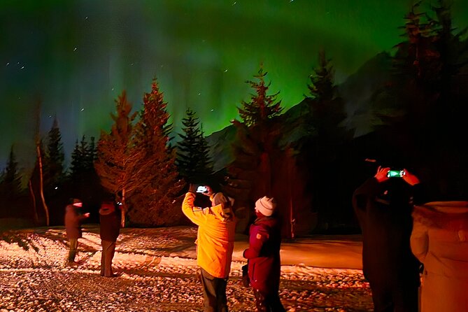 Northern Lights Tour, Tromso, Local Guide, Private Basecamp - Why the group size matters