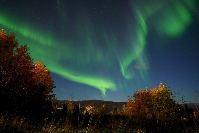 Northern Lights tour with Alta Adventure - Warm clothing and what you should bring