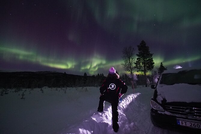 Northern Lights tour with Alta Adventure - Starting in Alta at 8:00 pm