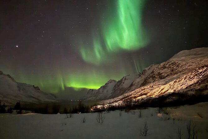 Northern Lights Tour with Hot Food and Drinks in Tromso - Meeting at 6:20 pm in central Tromso