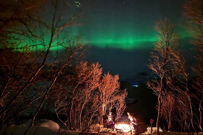 Northern Lights Tour with Hot Food and Drinks in Tromso - Photos, tripods, and the practical Arctic kit
