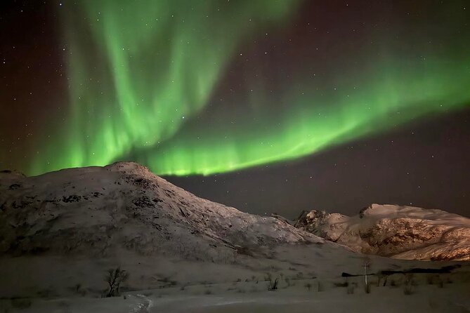 Northern Lights Tour with Hot Food and Drinks in Tromso - Who should book this aurora hunt?