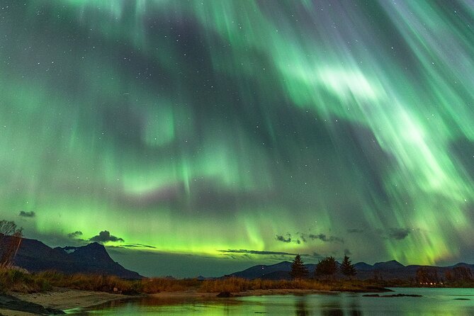 Northern Lights Tour with Local Guide and Photos - Campfire warmth, grill huts, and local treats
