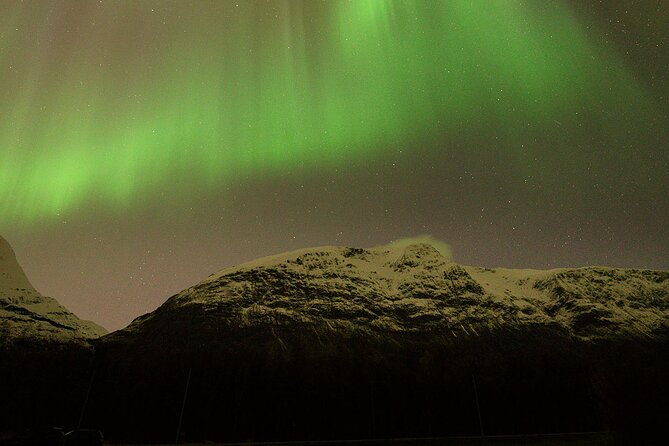 Northern Lights Tour with Local Guide and Photos - The return to Tromsø can be the best part