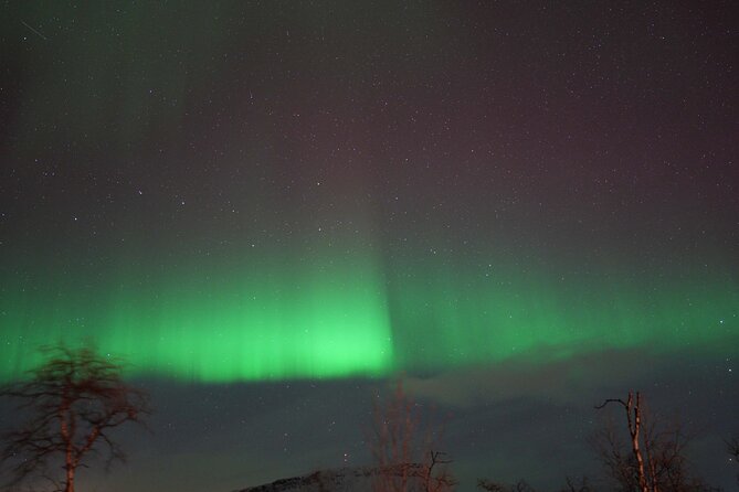Northern Lights Tour with Local Guide and Photos - Is $198.50 a fair price?