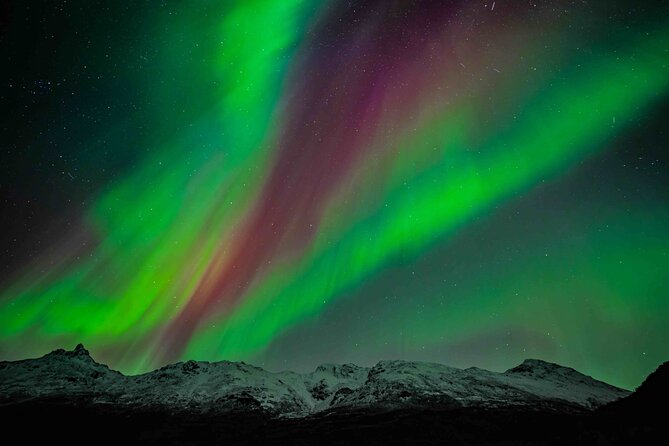 Northern Lights Tour with small group of 8 people - Key points to know before you book