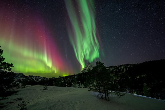 Northern Lights Tours Bodo Norway - How the route changes during the night