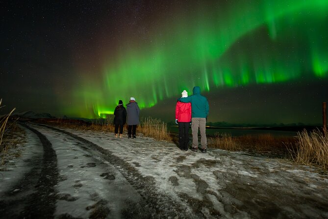 Northern Lights Tours Bodo Norway - Inside the heated van