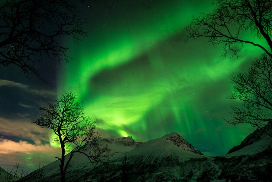 Northern lights Tromsø - small group tour with local guide - What the $271 price really buys