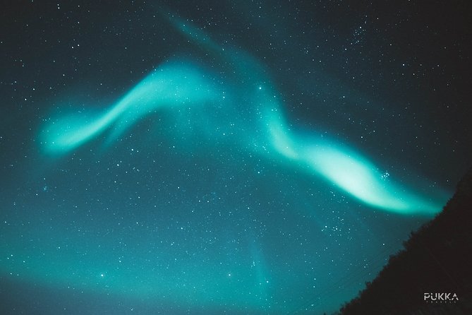 Northern Lights x Mini Bus Chase - Who should book this Tromsø outing?