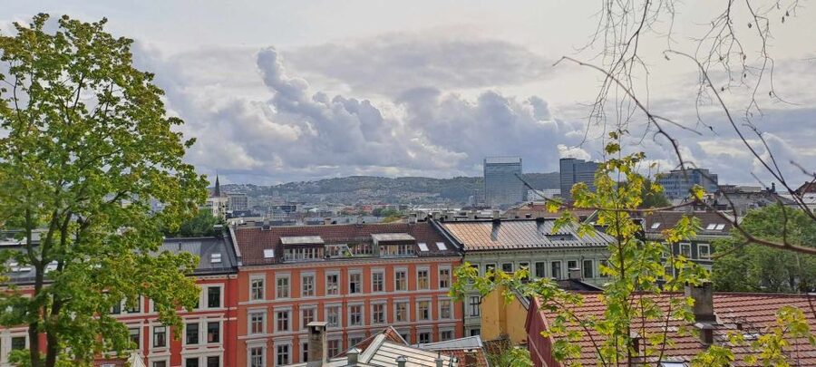 Norwegian Food Tour & Hidden Gems of Oslo - Why this Oslo food tour feels different