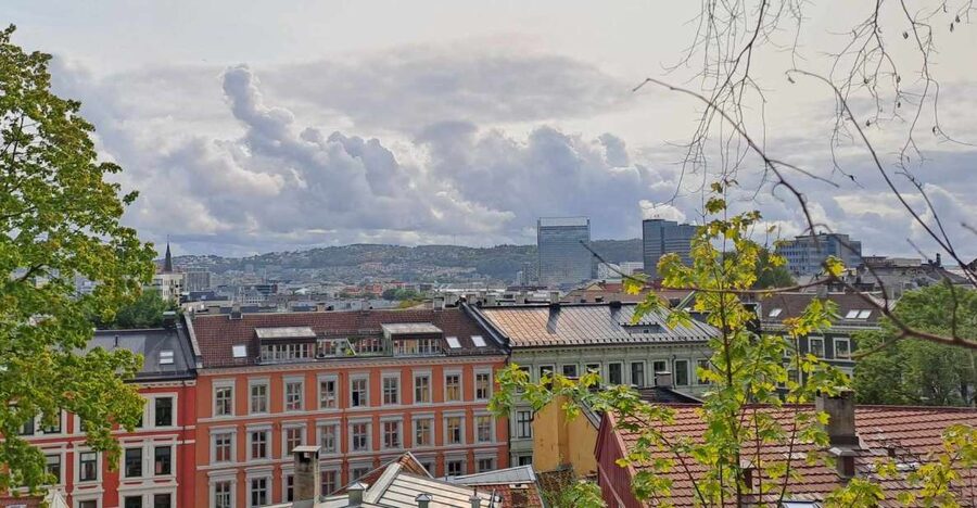 Norwegian Food Tour & Hidden Gems of Oslo - Starting at the tiger statue