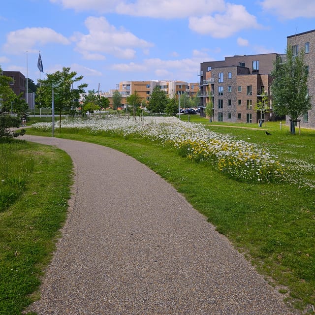 Odense: City walk - The new green Odense - City development - The Port of Odense and the city’s industrial past