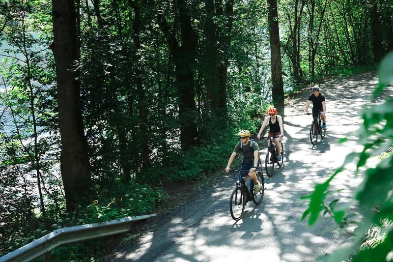 Olden: Guided e-bike tour - Key points to know before you book