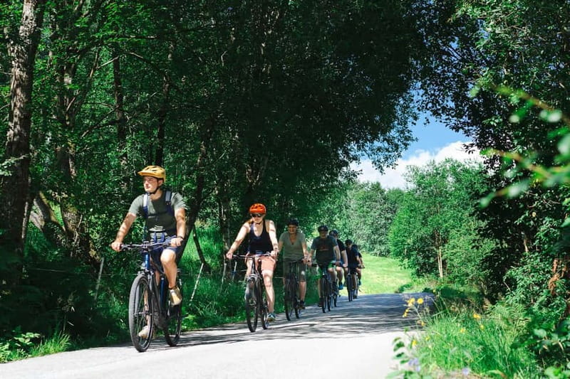 Olden: Guided e-bike tour - Meeting near the cruise dock