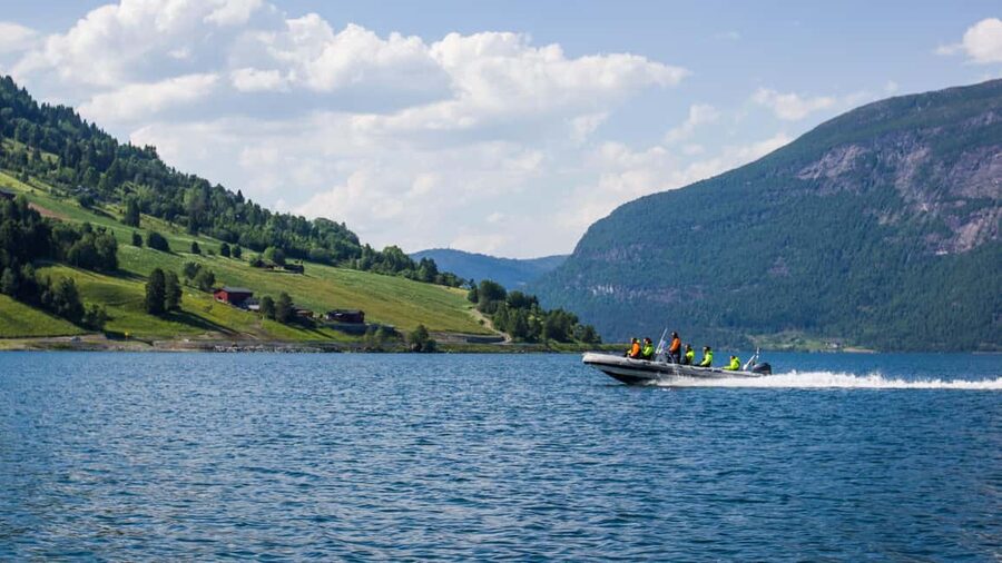 Olden: Nordfjord RIB Boat Tour with Live Commentary - Key points to know before you book