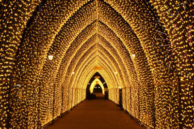2-hour Christmas Private Walking Tour