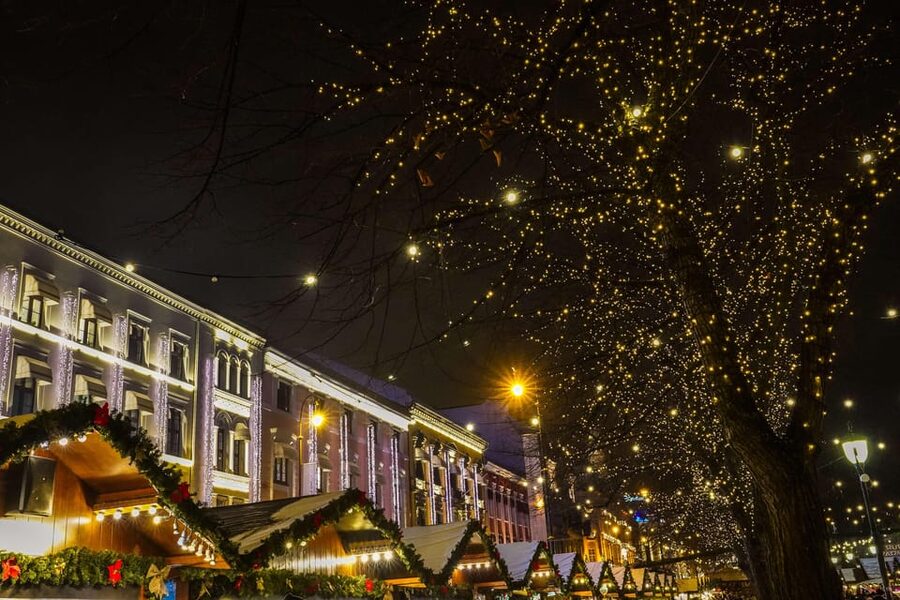 Oslo: 2-hour Christmas Private Walking Tour - Spikersuppa Christmas market and gløgg