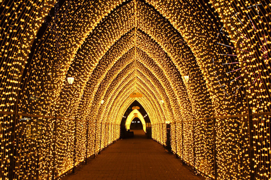 Oslo: 2-hour Christmas Private Walking Tour - Aker Brygge and Oslo’s changing story
