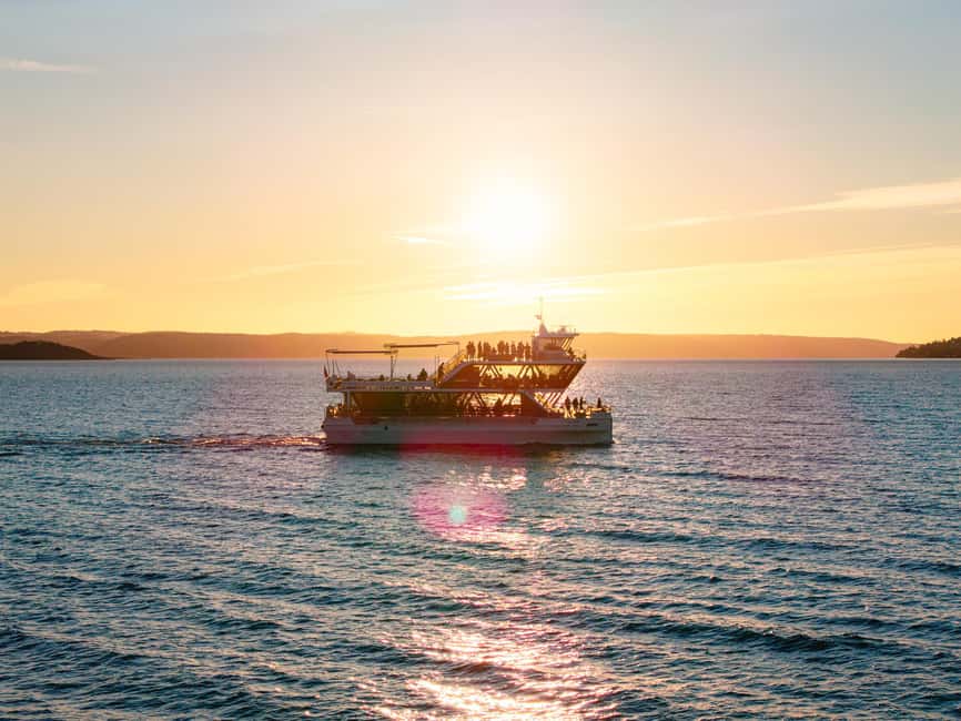 Oslo: 3-course Dinner Cruise in the Oslofjord - A smooth electric ride through the Oslofjord