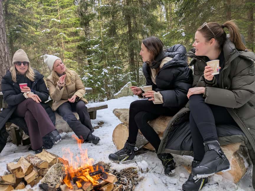 Oslo: 3-hour Cross Country trip with equipment and guide - From prepared trails to self-made forest tracks