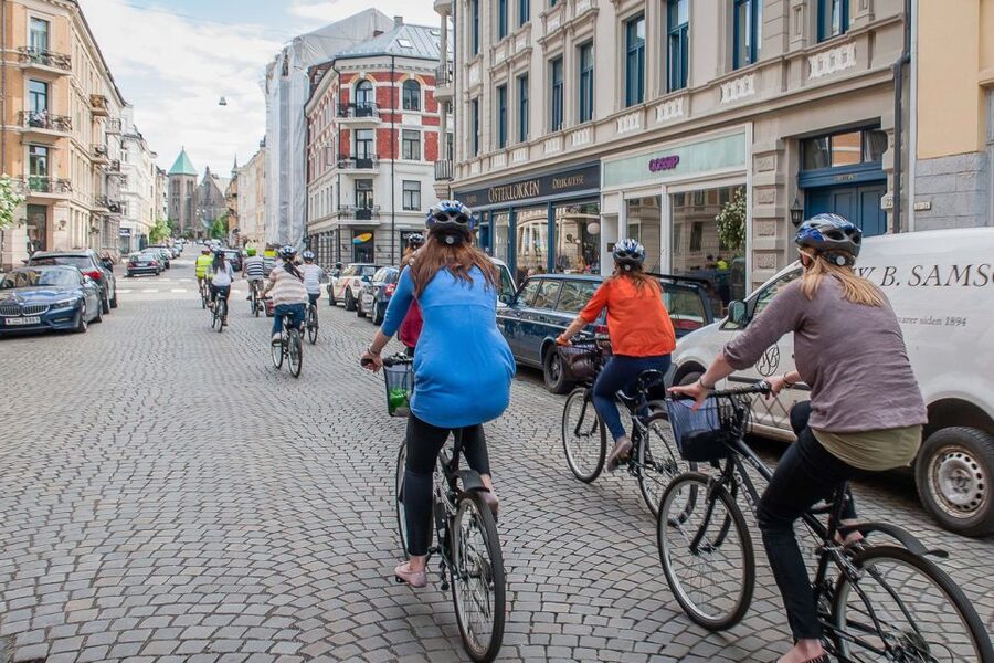 Oslo: 3-Hour Highlights Bike Tour - Winter riding needs a different plan