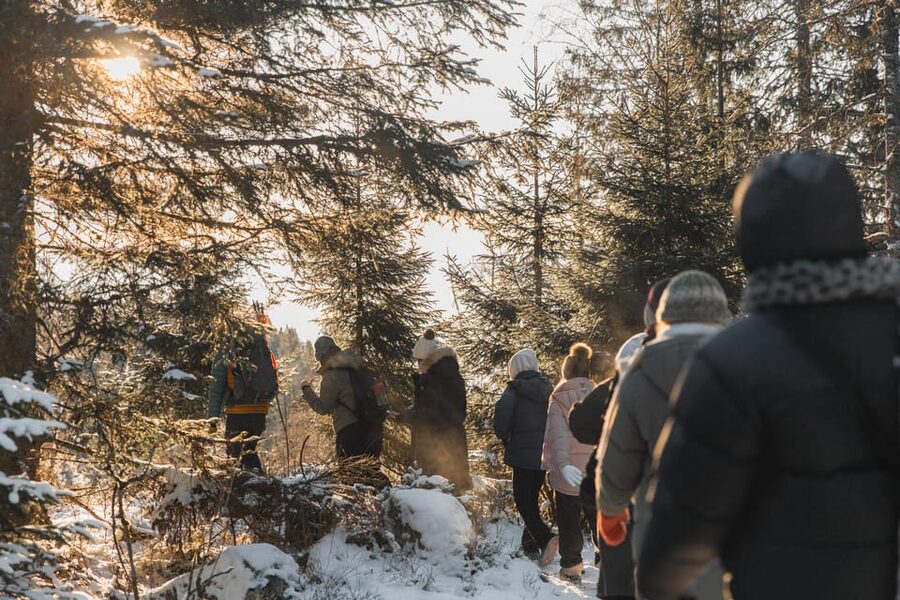 Oslo: Best View of the Oslofjord Winter Edition - Key Points