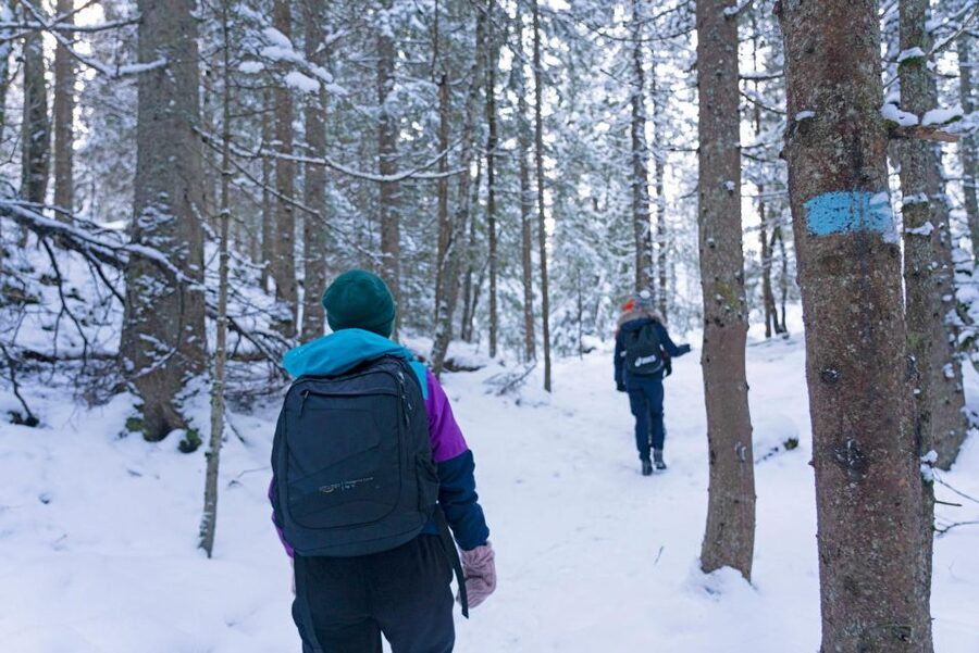 Oslo: Best View of the Oslofjord Winter Edition - The Final Push to Vettakollen Summit